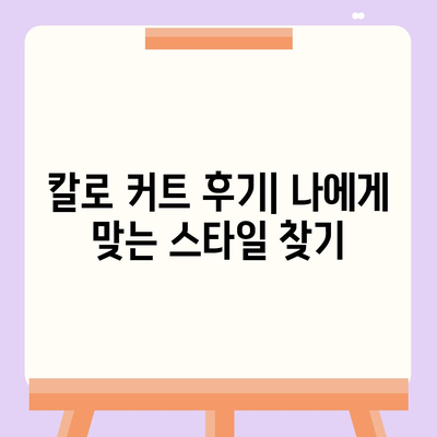 칼로 커트 가격 후기