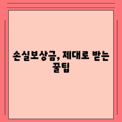 손실보상금 신청