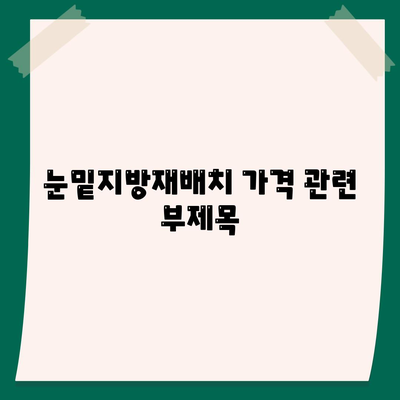 눈밑지방재배치 가격