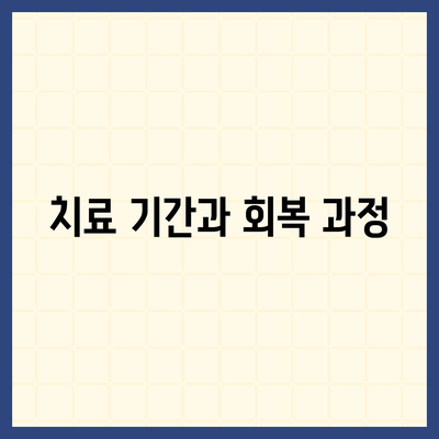 임플란트 과정