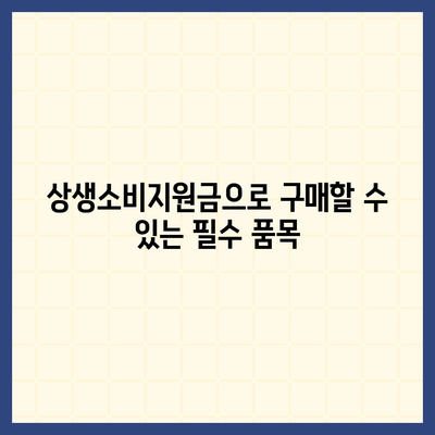 상생소비지원금 사용처