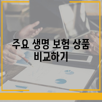 생명 보험 추천 순위