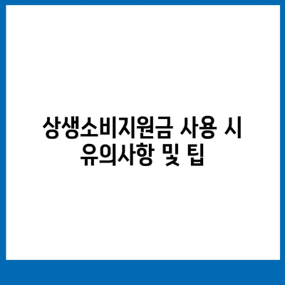 상생소비지원금 사용처