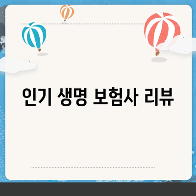 생명 보험 추천 순위