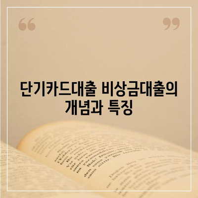 단기카드대출 비상금대출