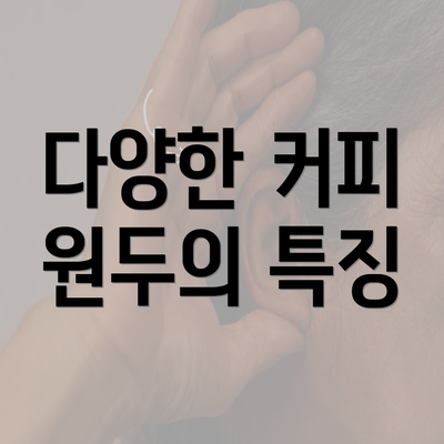 다양한 커피 원두의 특징