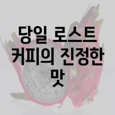 당일 로스트 커피의 진정한 맛
