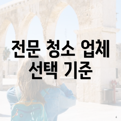 전문 청소 업체 선택 기준