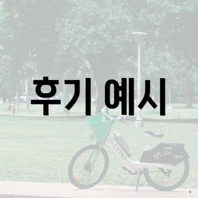 후기 예시