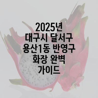 2025년 대구시 달서구 용산1동 반영구 화장 완벽 가이드