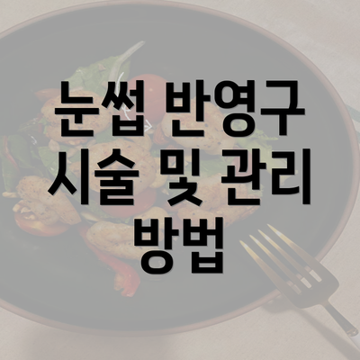 눈썹 반영구 시술 및 관리 방법