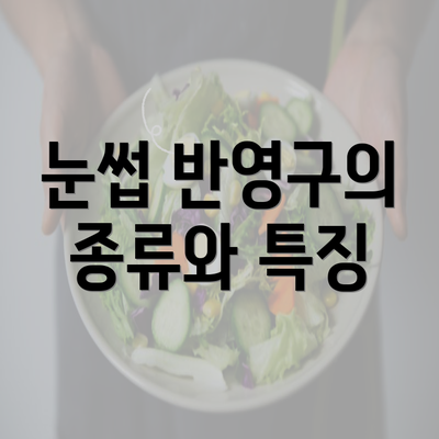 눈썹 반영구의 종류와 특징