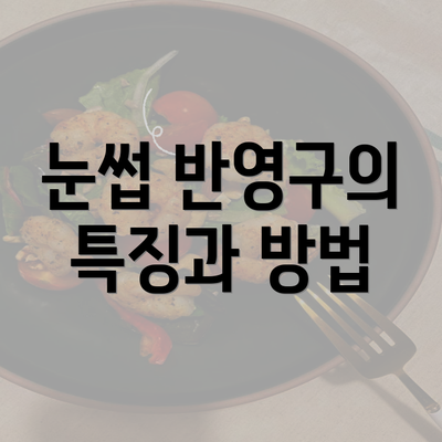 눈썹 반영구의 특징과 방법