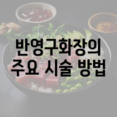 반영구화장의 주요 시술 방법