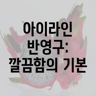 아이라인 반영구: 깔끔함의 기본