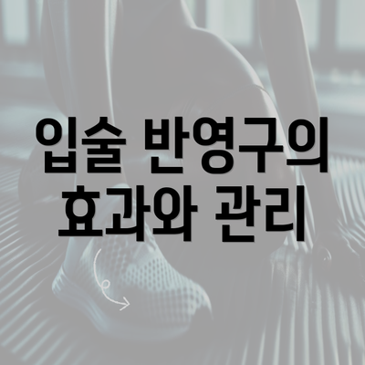 입술 반영구의 효과와 관리