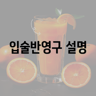 입술반영구 설명