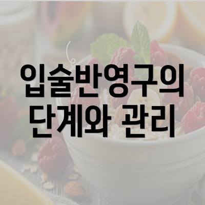 입술반영구의 단계와 관리