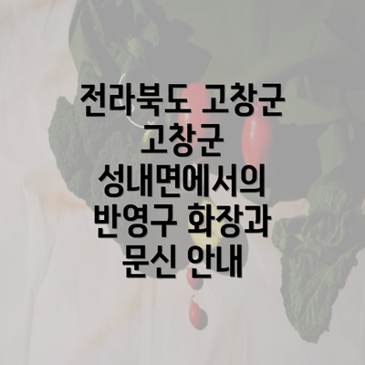 전라북도 고창군 고창군 성내면에서의 반영구 화장과 문신 안내