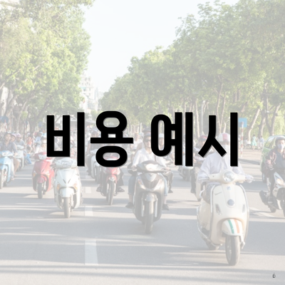 비용 예시