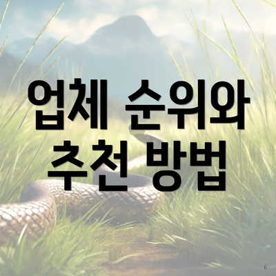업체 순위와 추천 방법