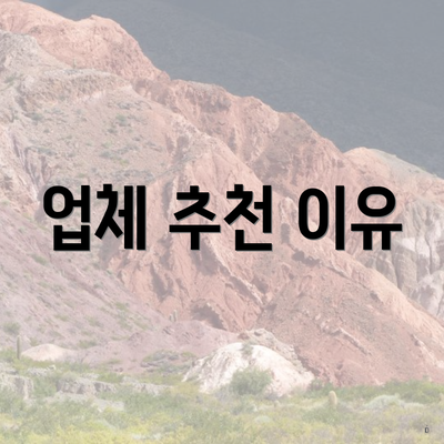 업체 추천 이유