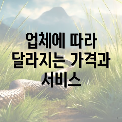 업체에 따라 달라지는 가격과 서비스