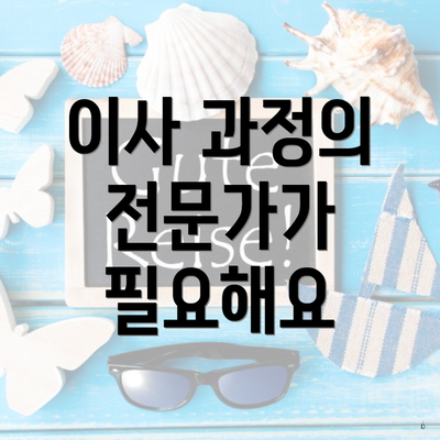 이사 과정의 전문가가 필요해요