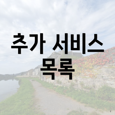 추가 서비스 목록