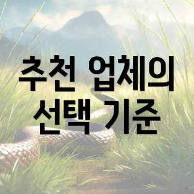 추천 업체의 선택 기준