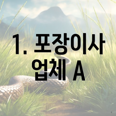 1. 포장이사 업체 A