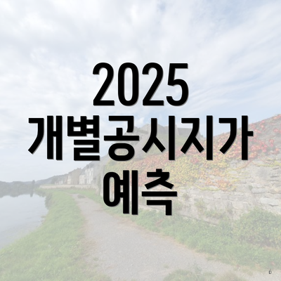 2025 개별공시지가 예측