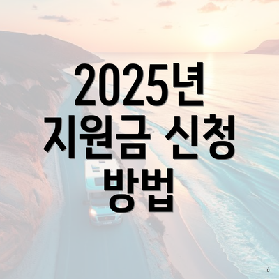 2025년 지원금 신청 방법