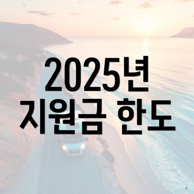 2025년 지원금 한도