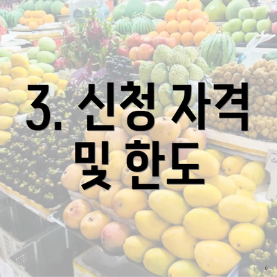 3. 신청 자격 및 한도