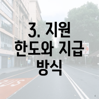3. 지원 한도와 지급 방식