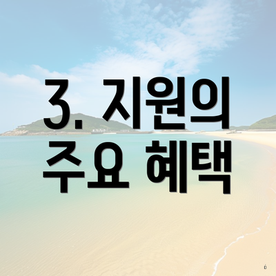 3. 지원의 주요 혜택