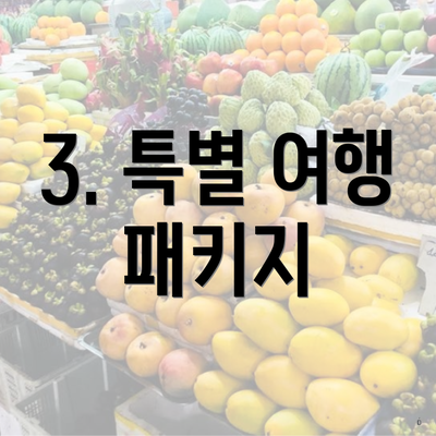 3. 특별 여행 패키지