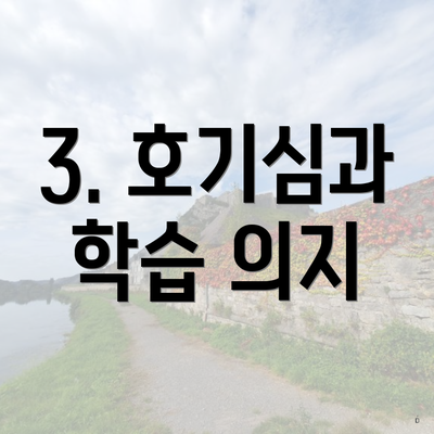 3. 호기심과 학습 의지