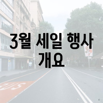 3월 세일 행사 개요