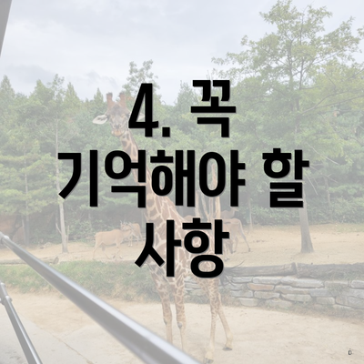 4. 꼭 기억해야 할 사항