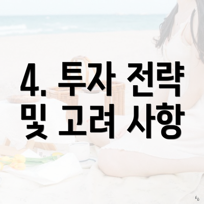4. 투자 전략 및 고려 사항