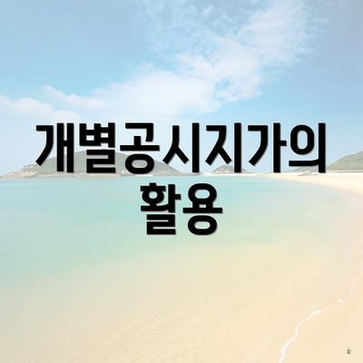 개별공시지가의 활용