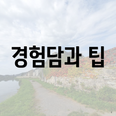 경험담과 팁