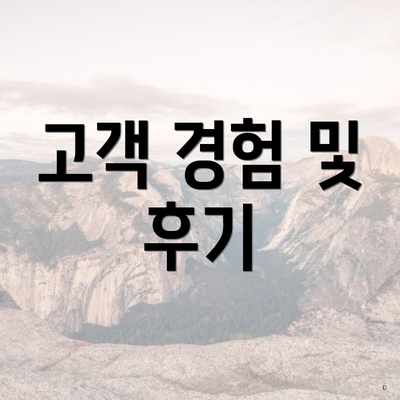 고객 경험 및 후기