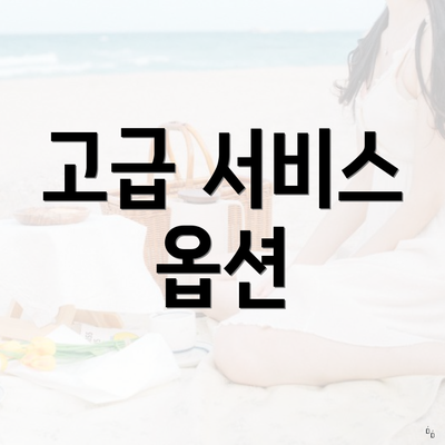 고급 서비스 옵션