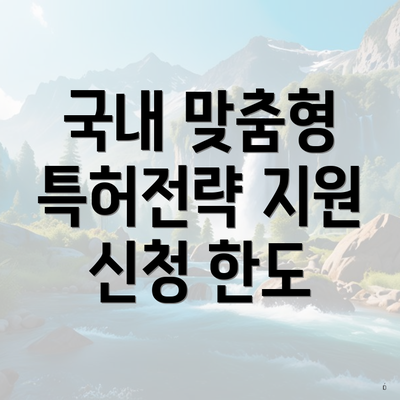 국내 맞춤형 특허전략 지원 신청 한도