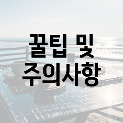 꿀팁 및 주의사항
