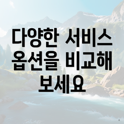 다양한 서비스 옵션을 비교해 보세요