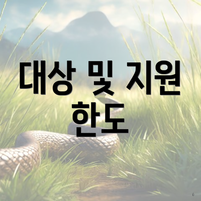대상 및 지원 한도